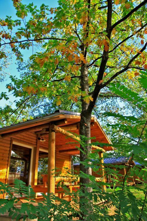 Albirondack Camping Lodge & Spa Szoba fotó